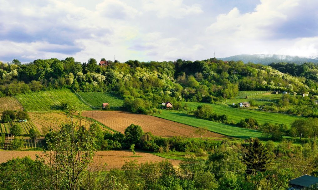Fruska Gora National Park, Vojvodina Region, Serbia